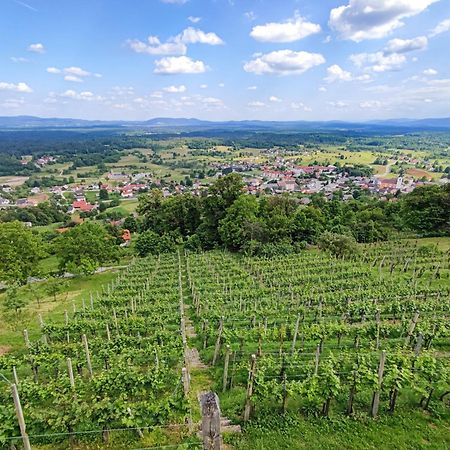 Zidanica-Vineyard Cottage Jakse Semic Buitenkant foto
