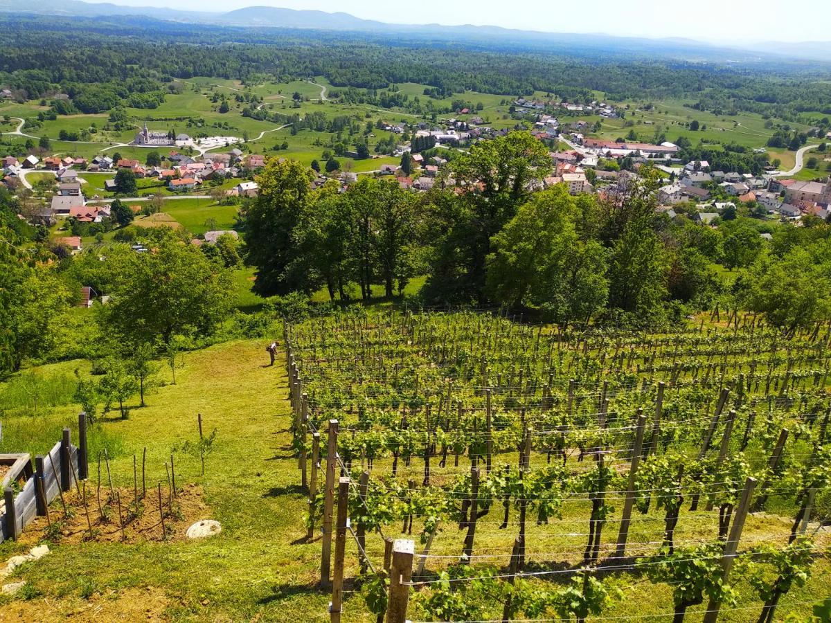Zidanica-Vineyard Cottage Jakse Semic Buitenkant foto