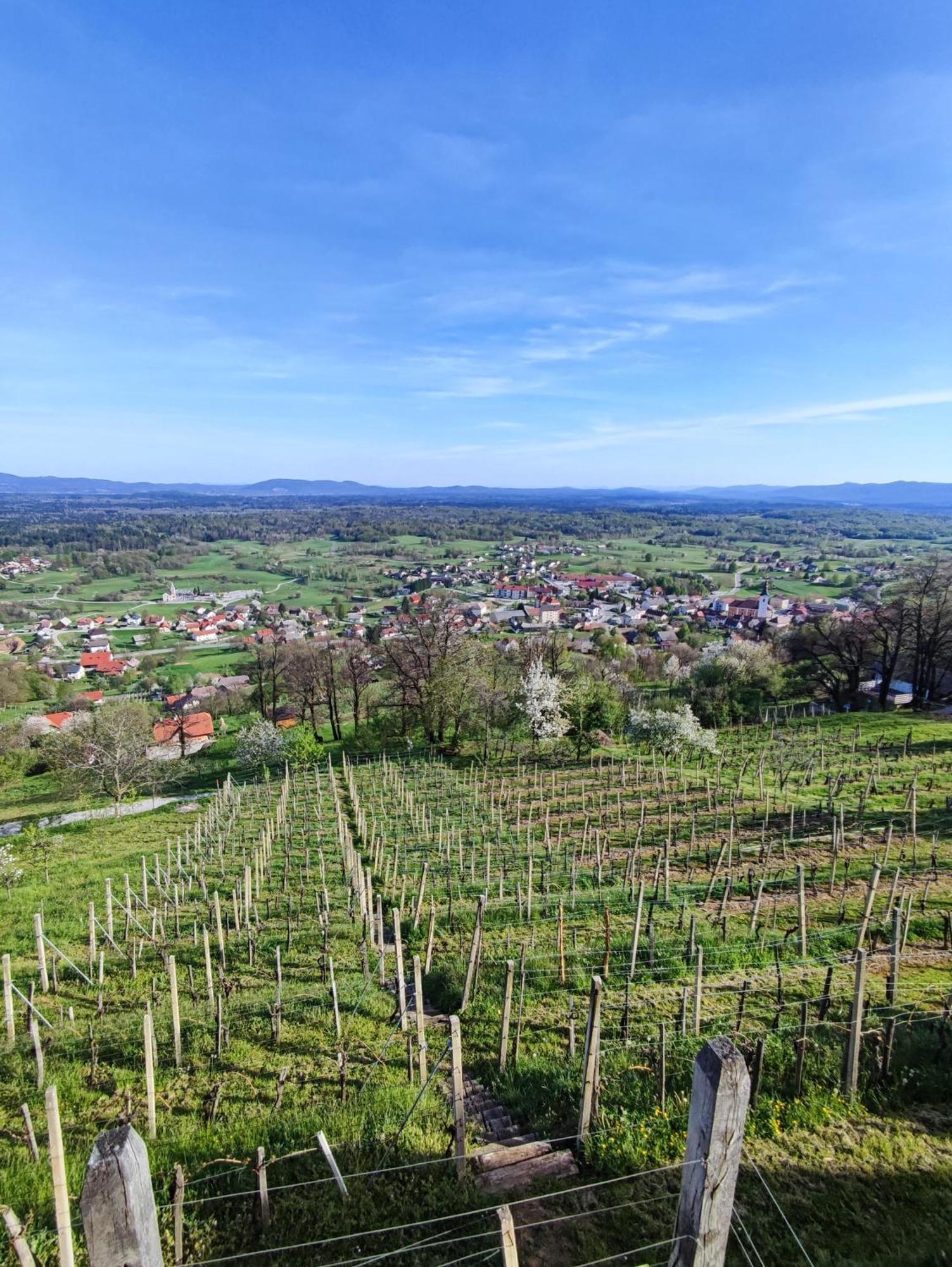 Zidanica-Vineyard Cottage Jakse Semic Buitenkant foto