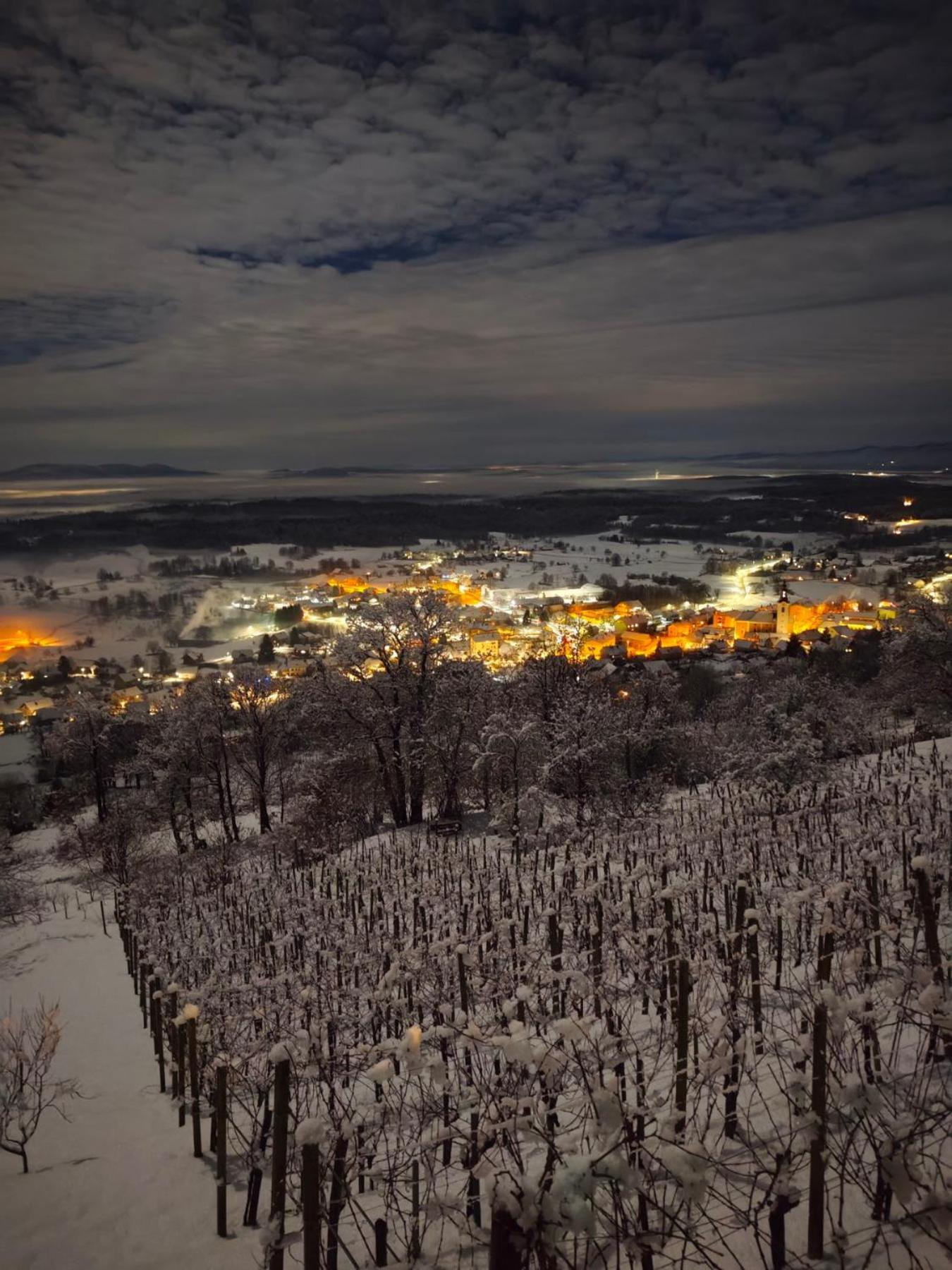 Zidanica-Vineyard Cottage Jakse Semic Kamer foto