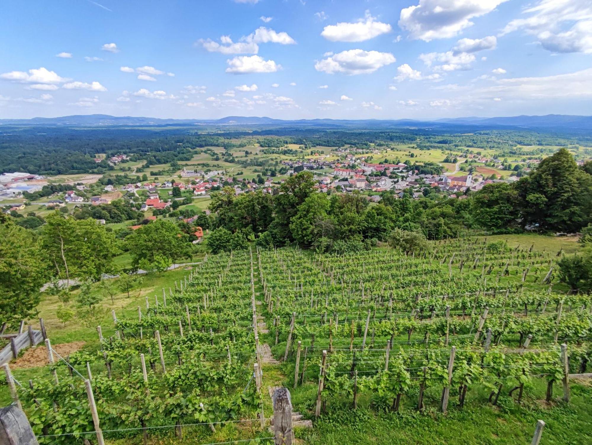 Zidanica-Vineyard Cottage Jakse Semic Buitenkant foto